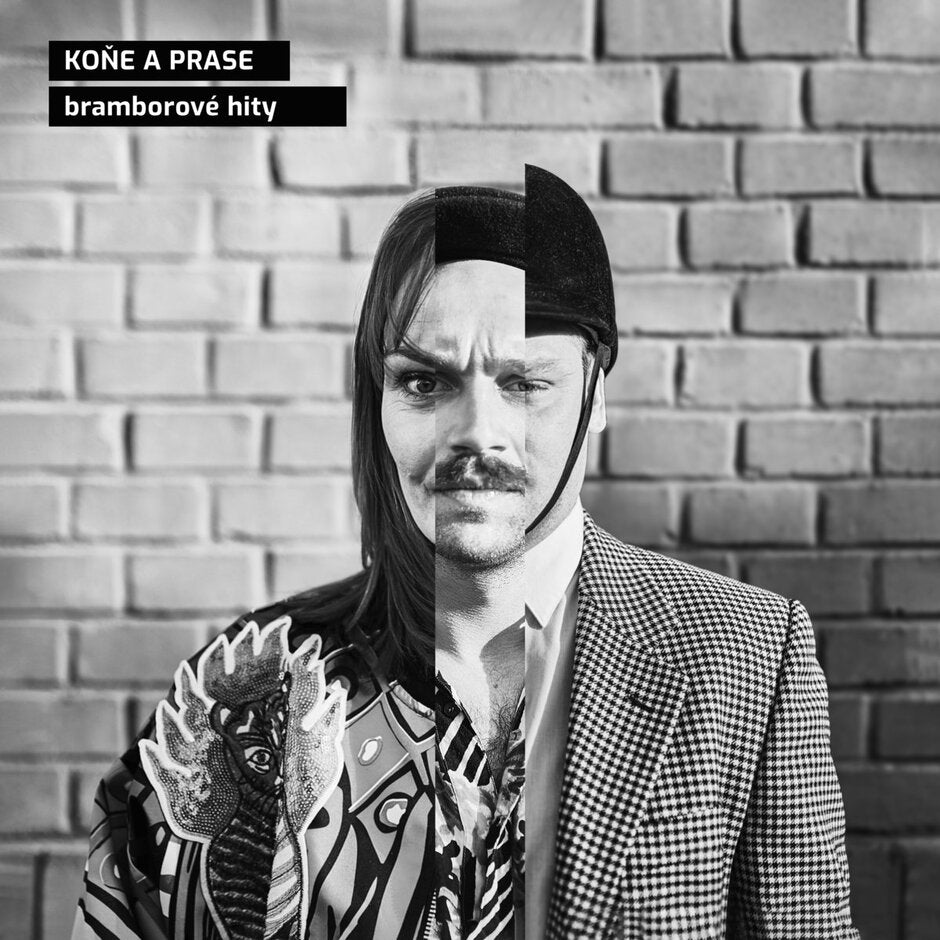 Koňe a prase. Koncert a polepšovna pro děti a rodiče